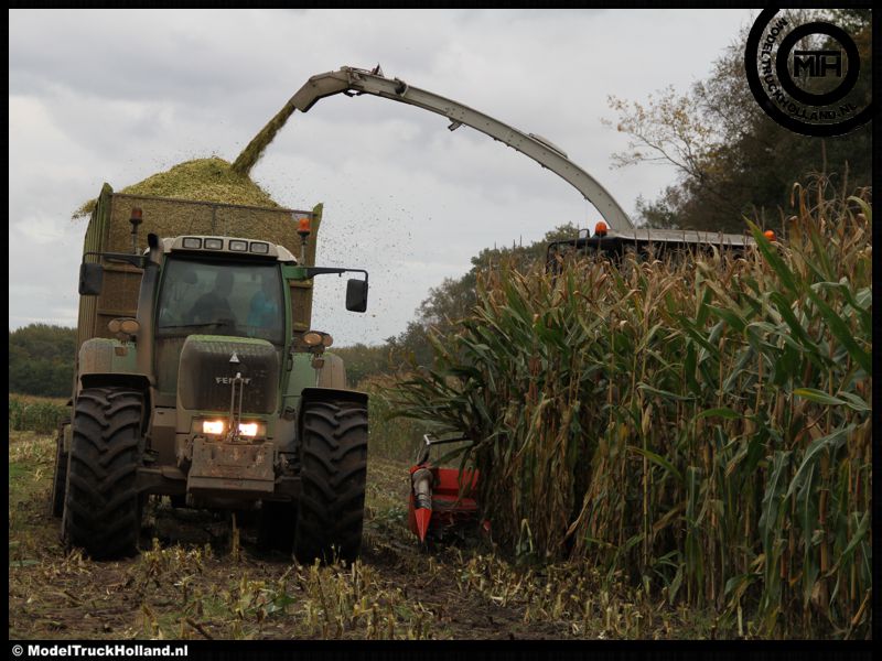 Maishakselen 20okt2013 Maishakselen 20okt2013