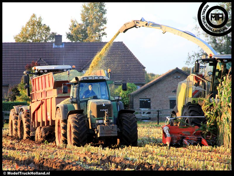 Maishakselen 26okt2013 Maishakselen 26okt2013